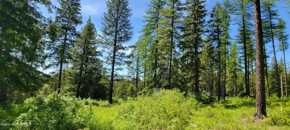 1015 Templeman Lake Road Bonners Ferry, ID 83805
