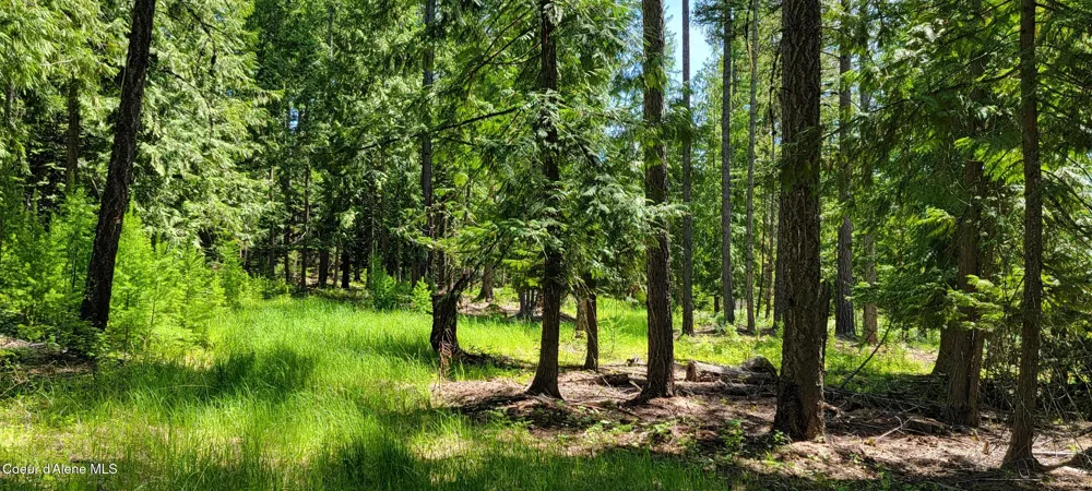 1015 Templeman Lake Road Bonners Ferry, ID 83805