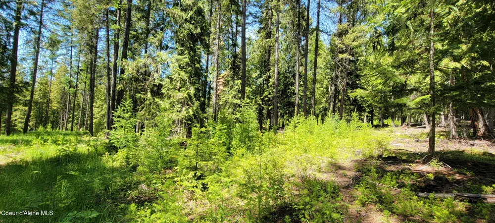 1015 Templeman Lake Road Bonners Ferry, ID 83805