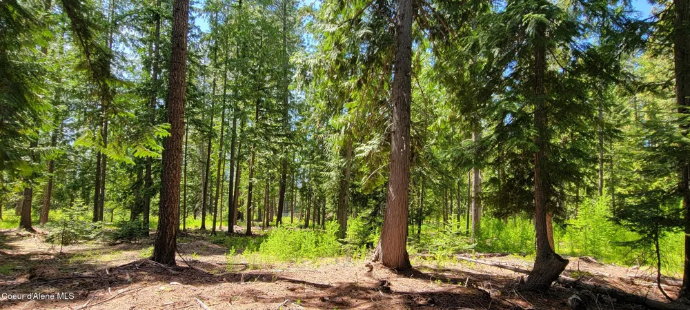 1015 Templeman Lake Road Bonners Ferry, ID 83805