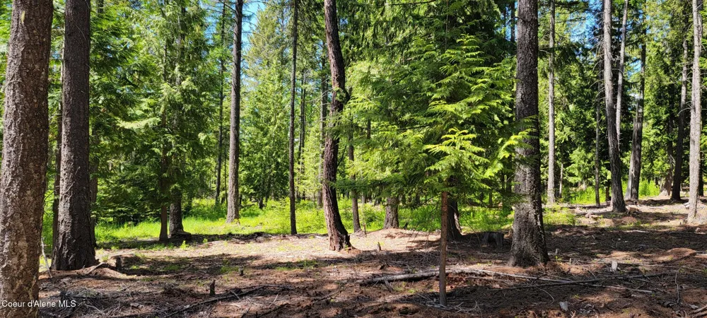 1015 Templeman Lake Road Bonners Ferry, ID 83805