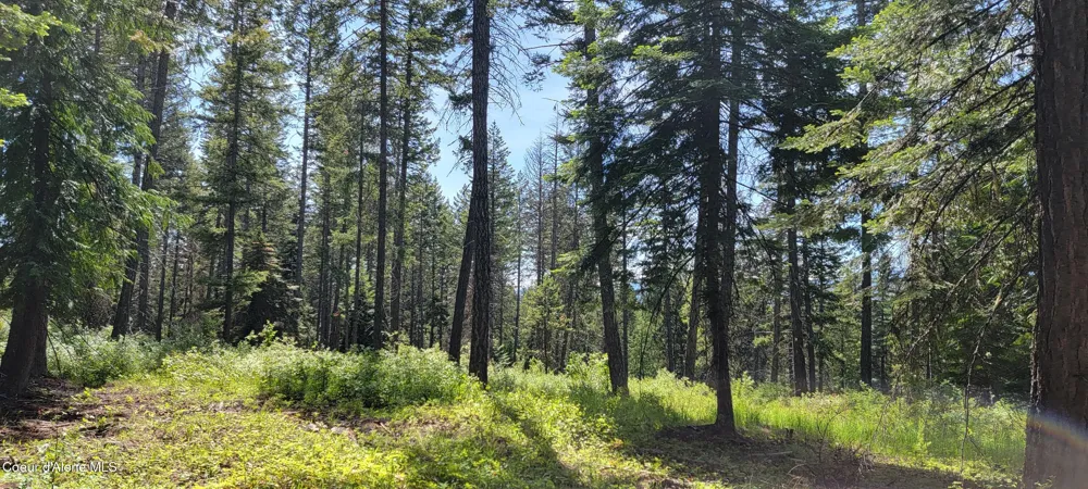 1015 Templeman Lake Road Bonners Ferry, ID 83805