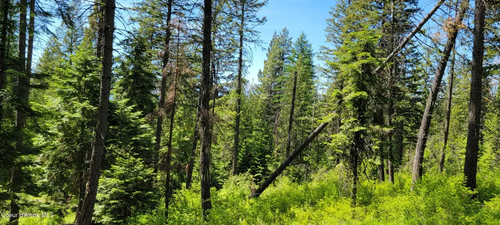 1015 Templeman Lake Road Bonners Ferry, ID 83805
