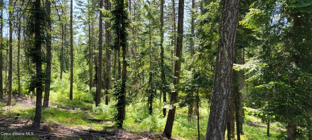 1015 Templeman Lake Road Bonners Ferry, ID 83805