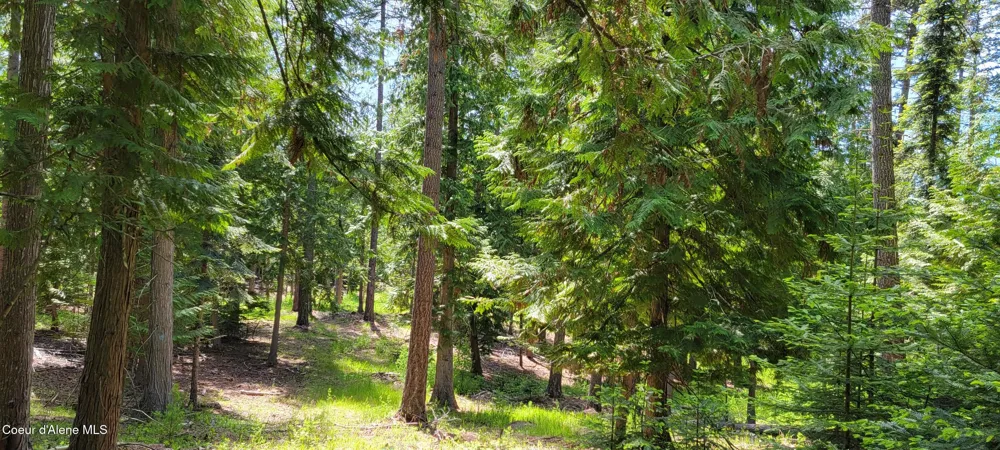 1015 Templeman Lake Road Bonners Ferry, ID 83805