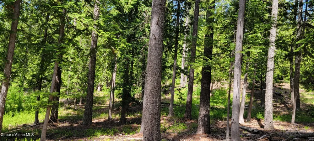 1015 Templeman Lake Road Bonners Ferry, ID 83805