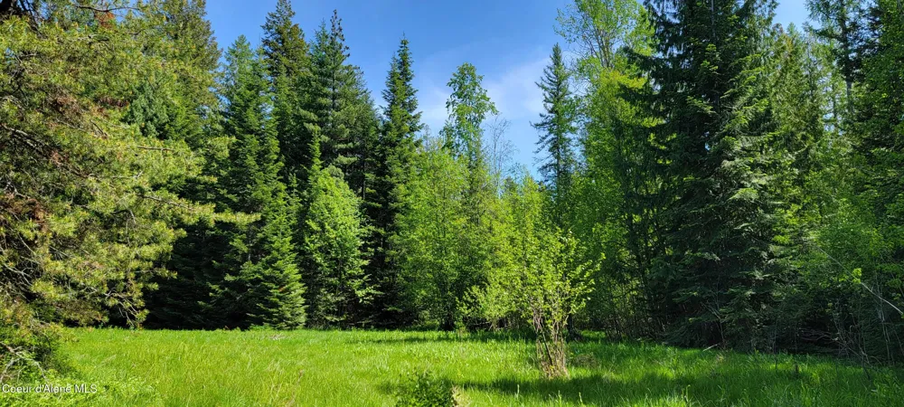 1015 Templeman Lake Road Bonners Ferry, ID 83805