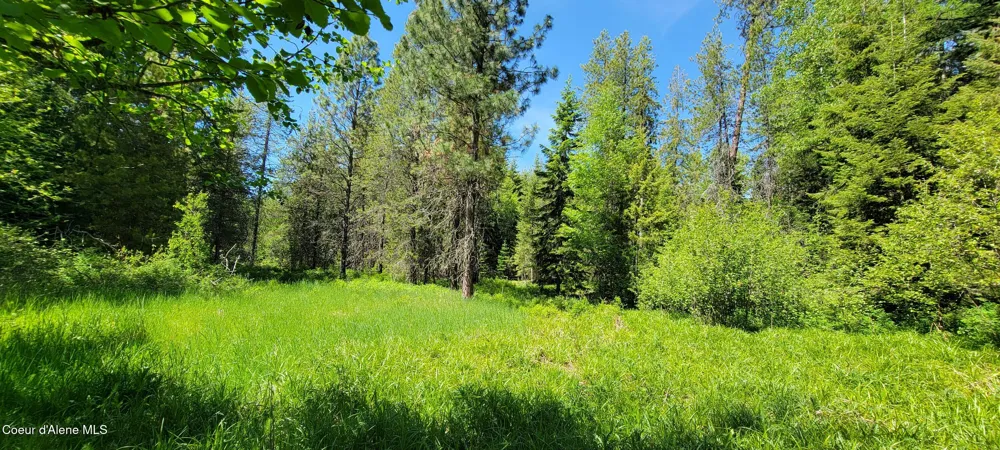 1015 Templeman Lake Road Bonners Ferry, ID 83805