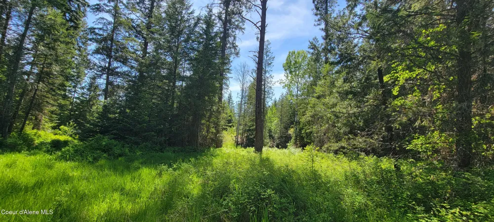 1015 Templeman Lake Road Bonners Ferry, ID 83805