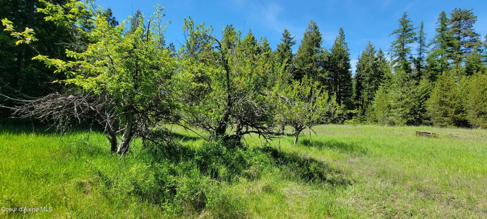 1015 Templeman Lake Road Bonners Ferry, ID 83805