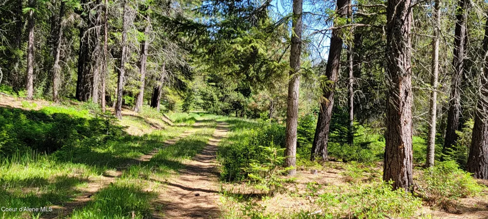 1015 Templeman Lake Road Bonners Ferry, ID 83805