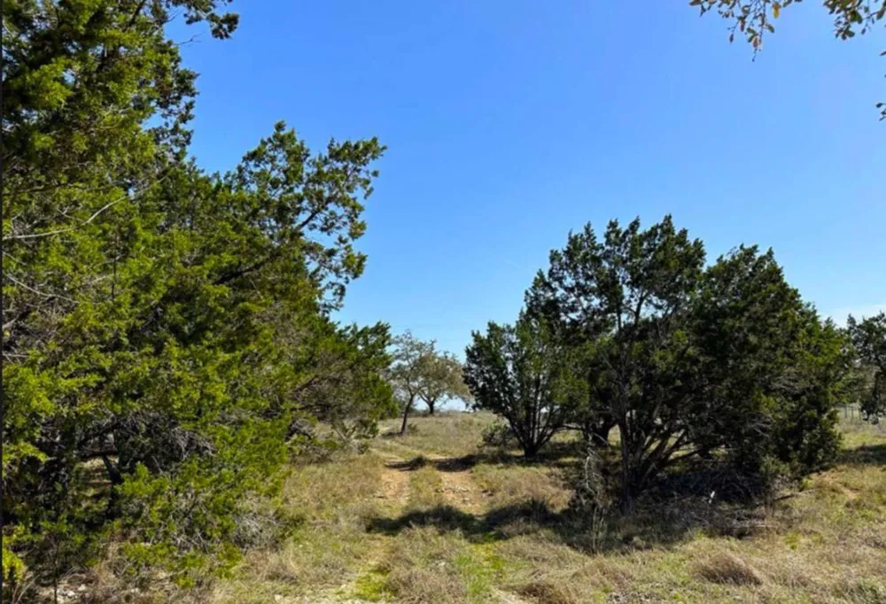 2154 Alto Lago Canyon Lake, TX 78133