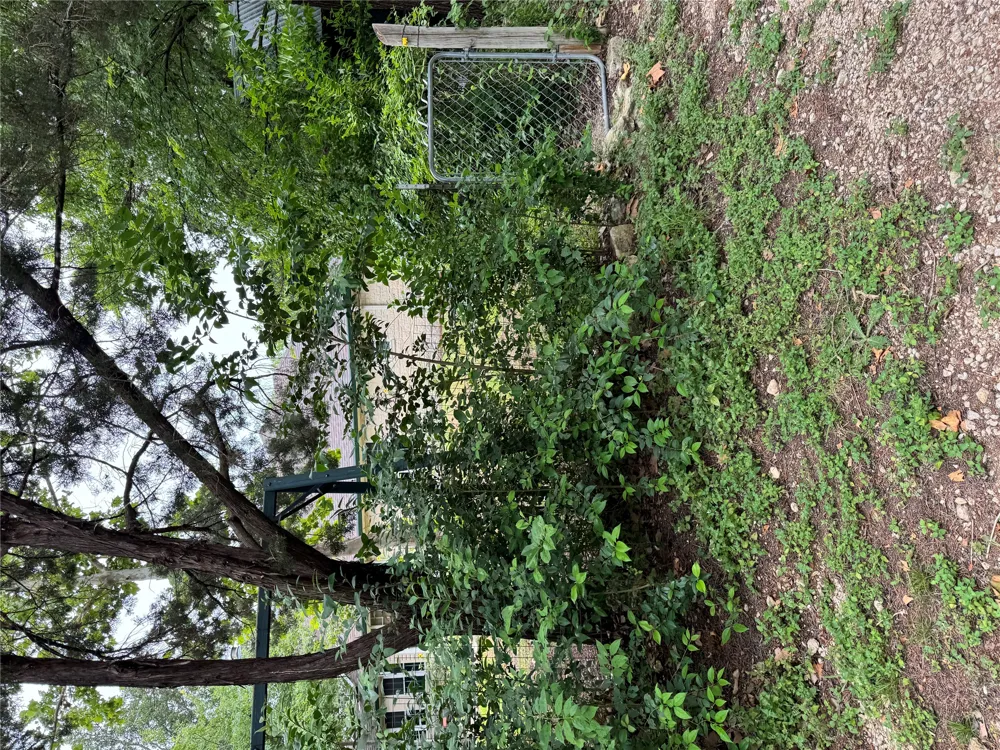 3201 Little Nolan Road Killeen, TX 76542