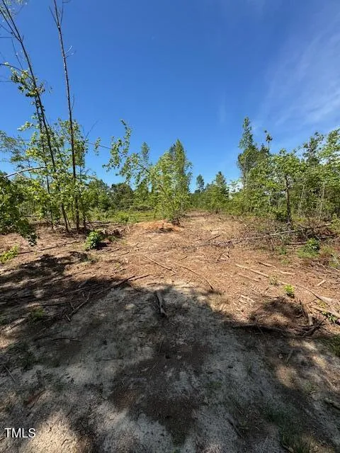0 Beasley Road Benson, NC 27504