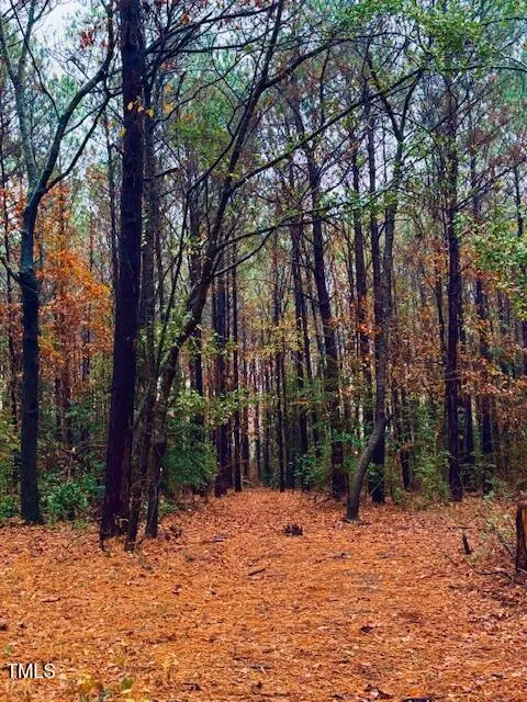 0 Beasley Road Benson, NC 27504