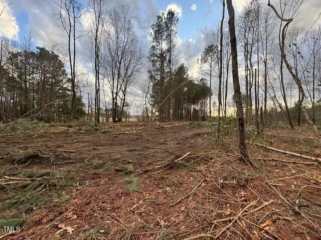 0 Beasley Road Benson, NC 27504