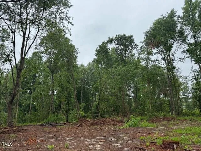 0 Beasley Road Benson, NC 27504