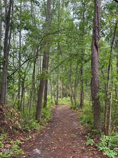 0 Beasley Road Benson, NC 27504