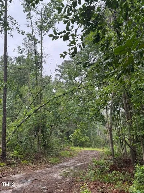 0 Beasley Road Benson, NC 27504