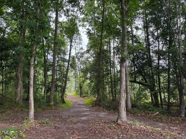 0 Beasley Road Benson, NC 27504
