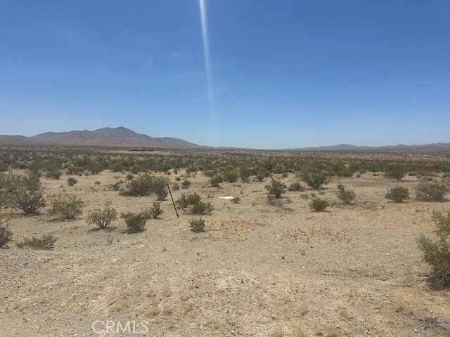 Bonanza Trail Oro Grande, CA 92368