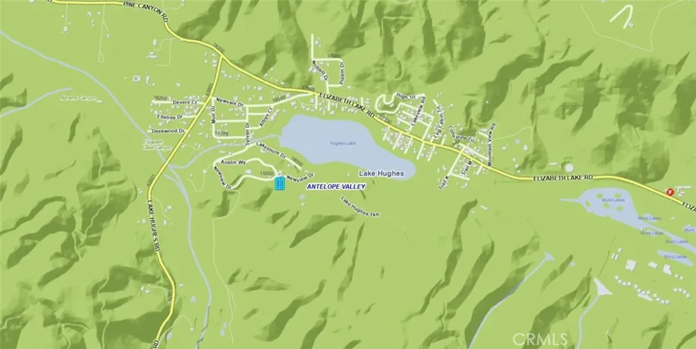 Newview Drive Lake Hughes, CA 93532