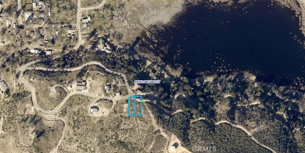 Newview Drive Lake Hughes, CA 93532