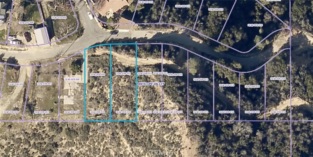 Newview Drive Lake Hughes, CA 93532
