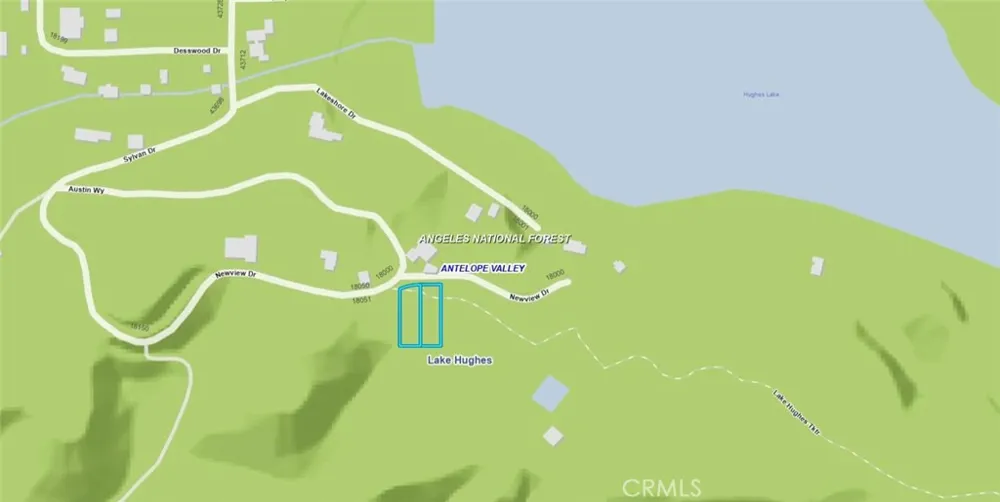 Newview Drive Lake Hughes, CA 93532
