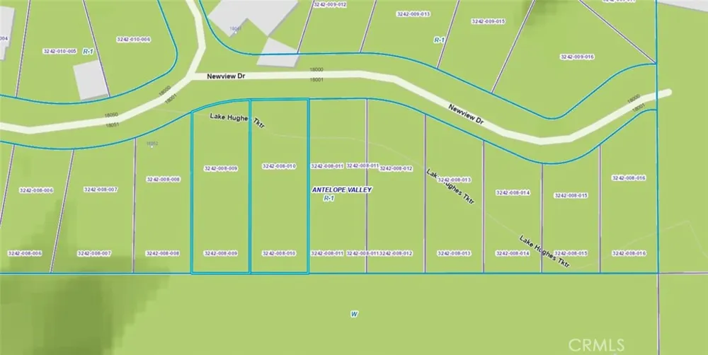 Newview Drive Lake Hughes, CA 93532