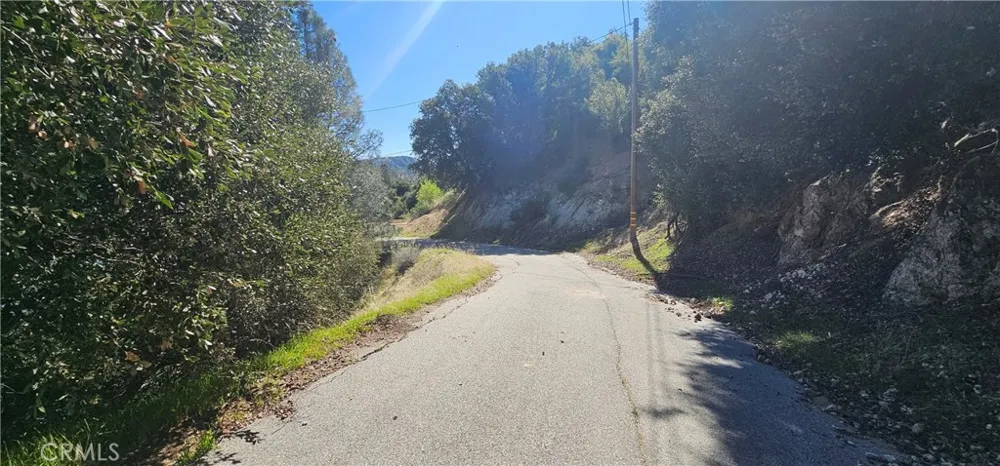 Newview Drive Lake Hughes, CA 93532