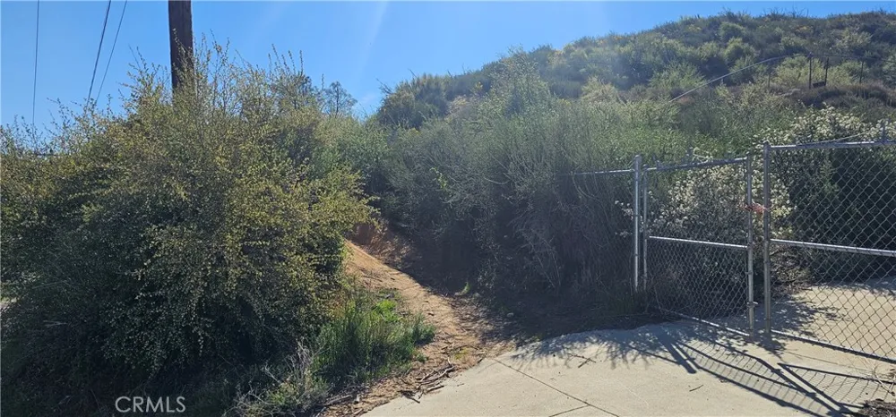 Newview Drive Lake Hughes, CA 93532