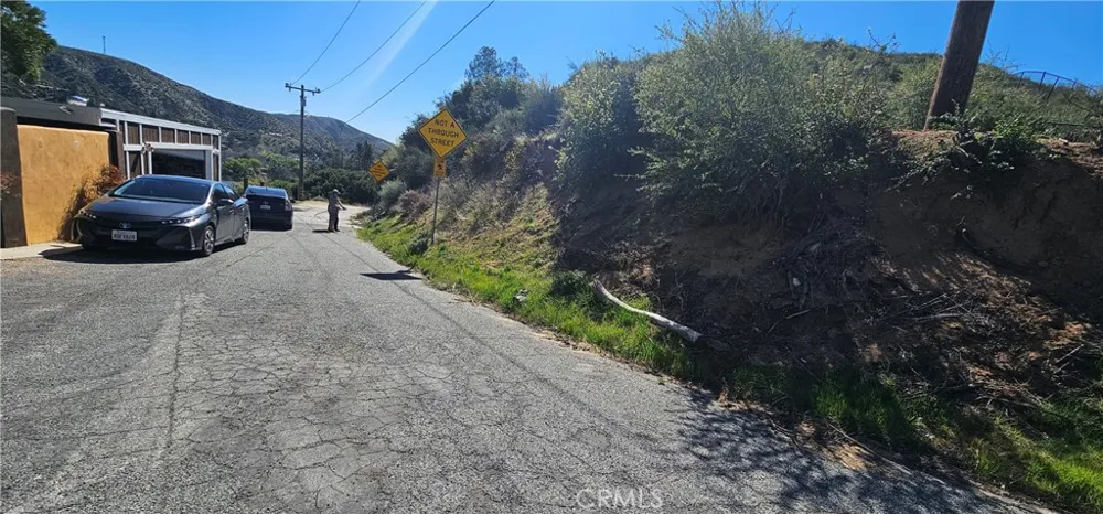 Newview Drive Lake Hughes, CA 93532