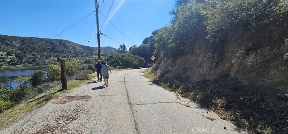 Newview Drive Lake Hughes, CA 93532