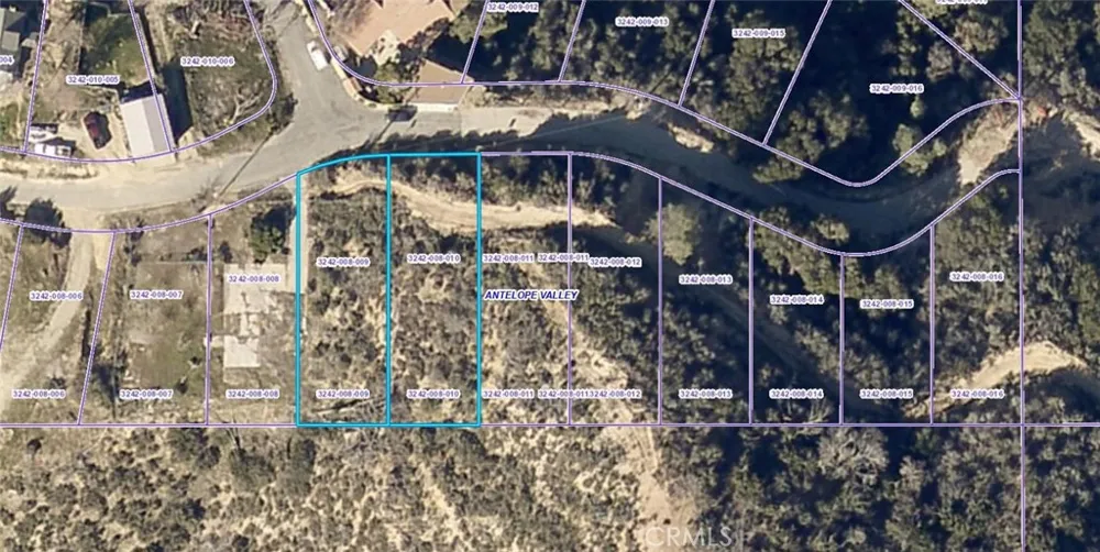 Newview Drive Lake Hughes, CA 93532