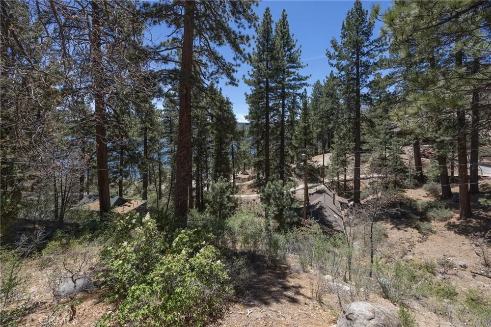 352 Big Bear Trail Fawnskin, CA 92333