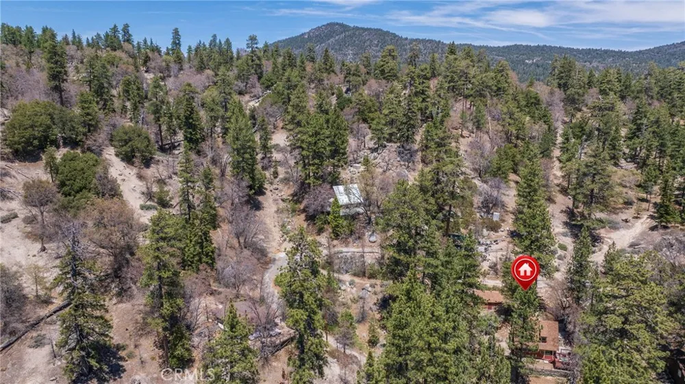 352 Big Bear Trail Fawnskin, CA 92333