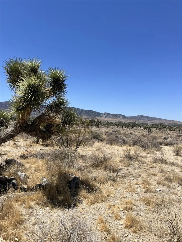Pine Tree Road Pinon Hills, CA 92372