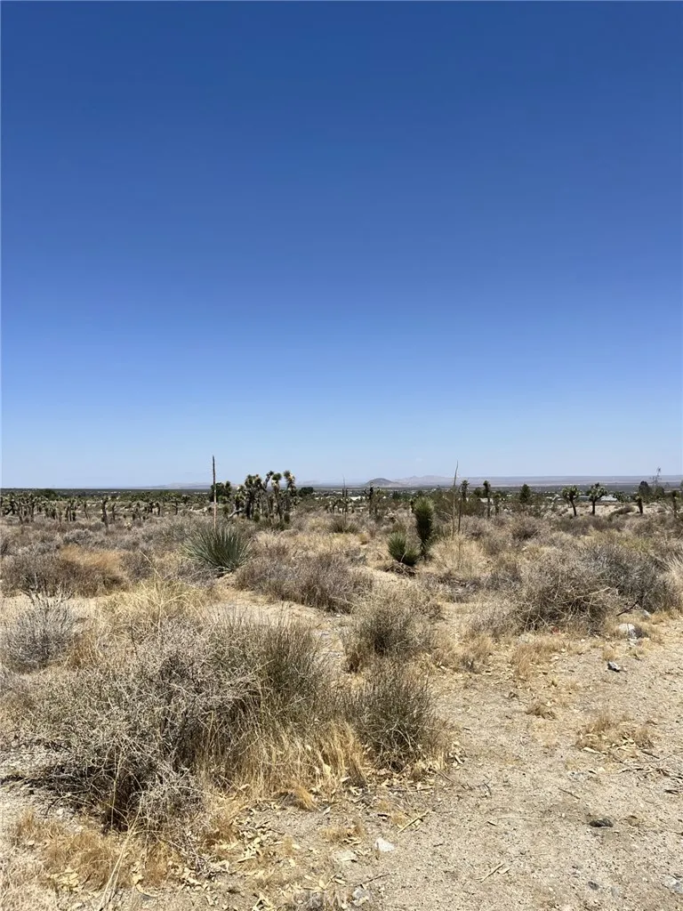 Pine Tree Road Pinon Hills, CA 92372