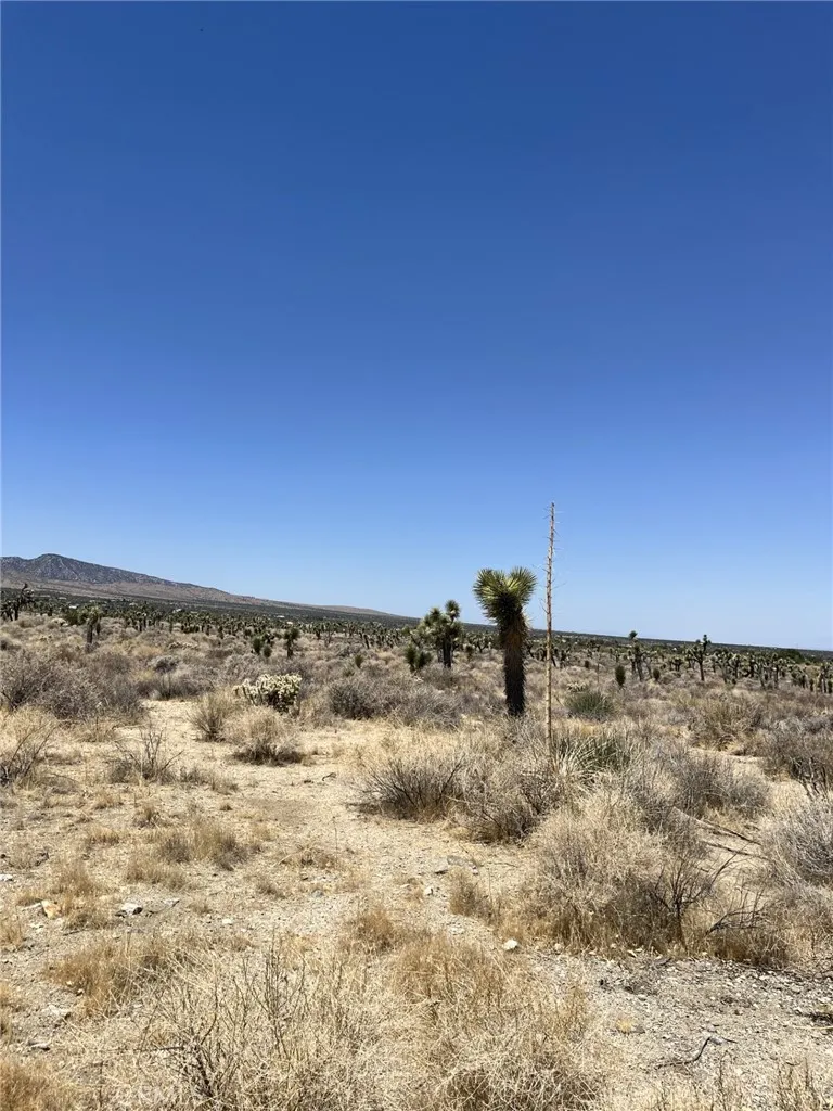 Pine Tree Road Pinon Hills, CA 92372