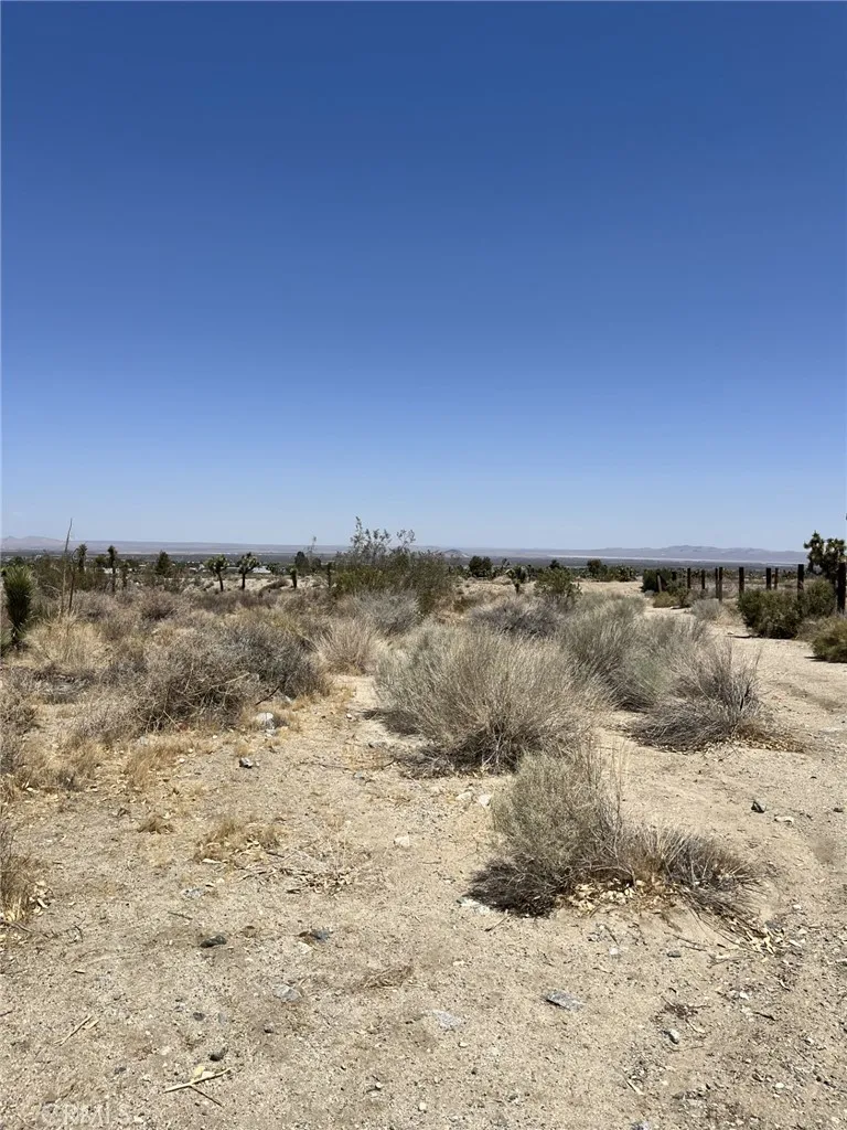 Pine Tree Road Pinon Hills, CA 92372