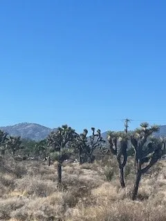 Pine Tree Road Pinon Hills, CA 92372