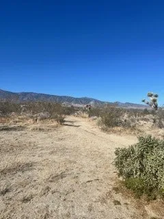 Pine Tree Road Pinon Hills, CA 92372