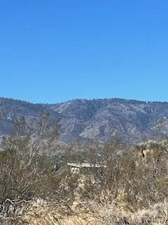 Pine Tree Road Pinon Hills, CA 92372