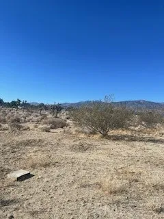 Pine Tree Road Pinon Hills, CA 92372