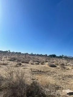 Pine Tree Road Pinon Hills, CA 92372