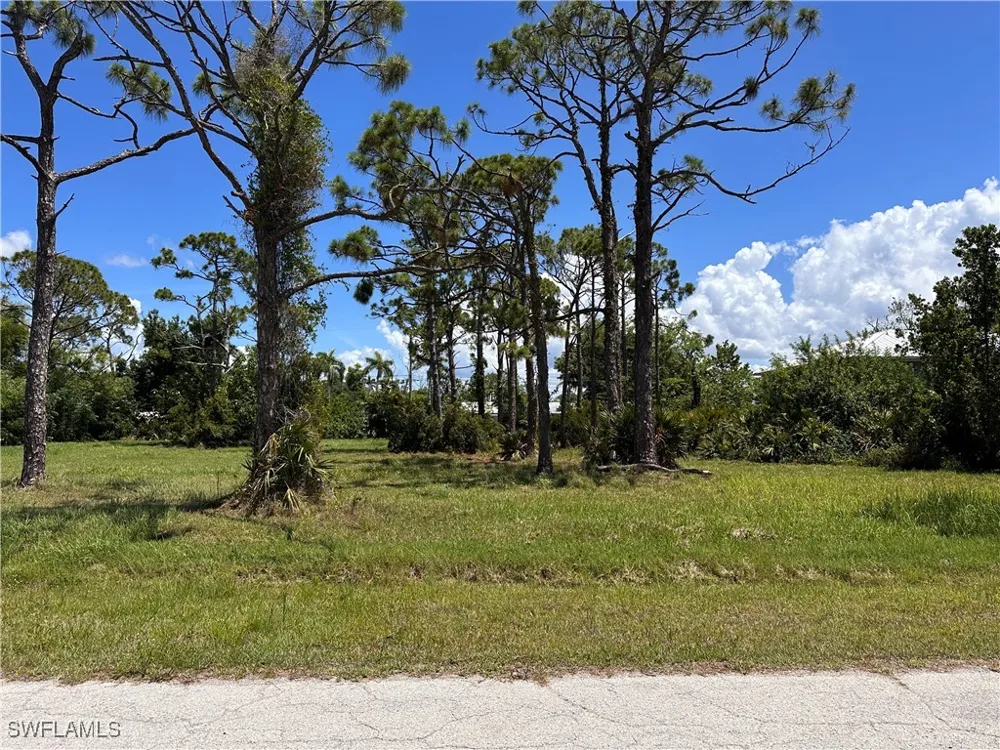 Mango Street St James City, FL 33956