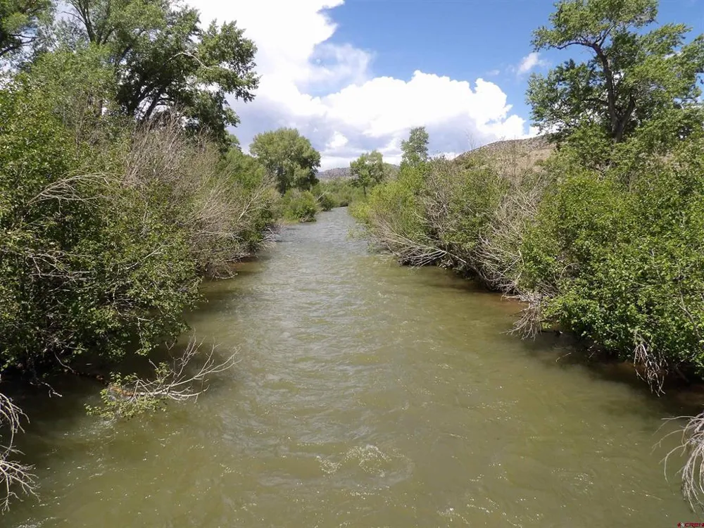 Alamosa Canyon River Land Capulin, CO 81124