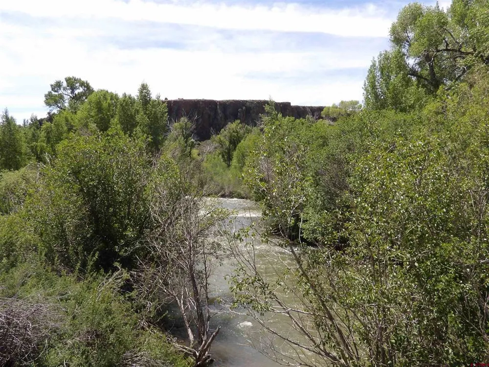 Alamosa Canyon River Land Capulin, CO 81124