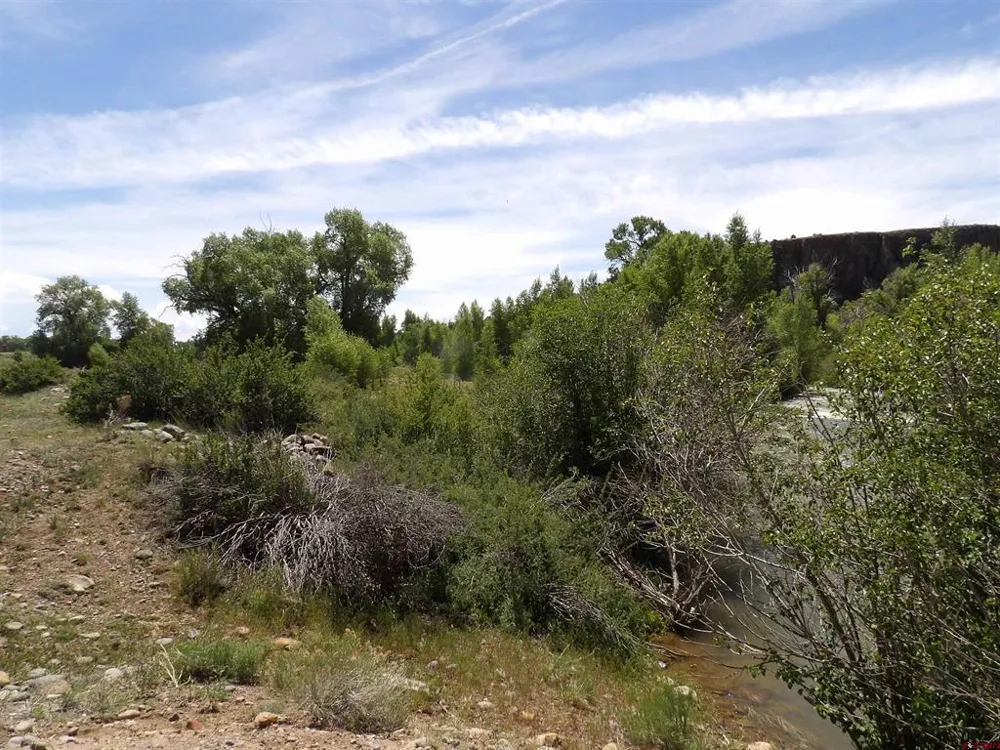 Alamosa Canyon River Land Capulin, CO 81124
